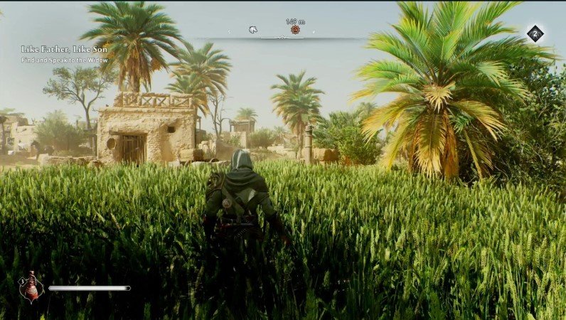 assassin_s-creed-mirage-run-until-you-see-a-grassy-area