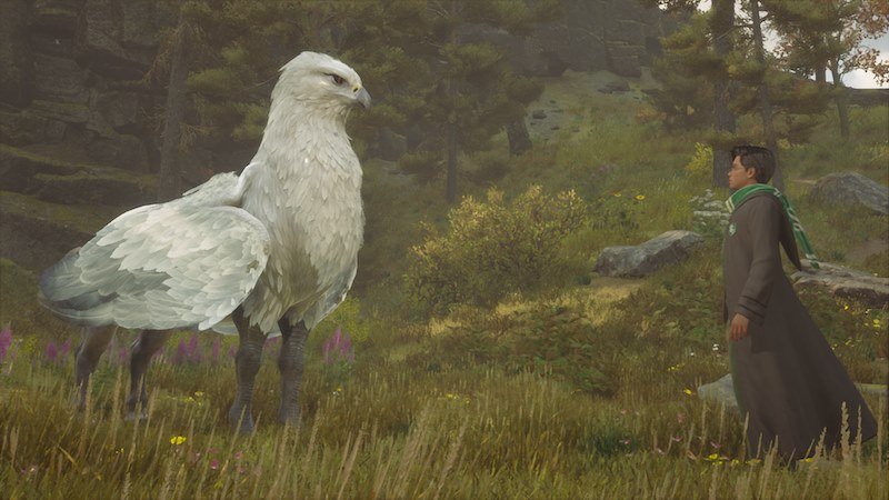 hogwarts-legacy-creatures-Hippogriff